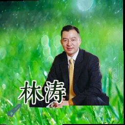 林涛